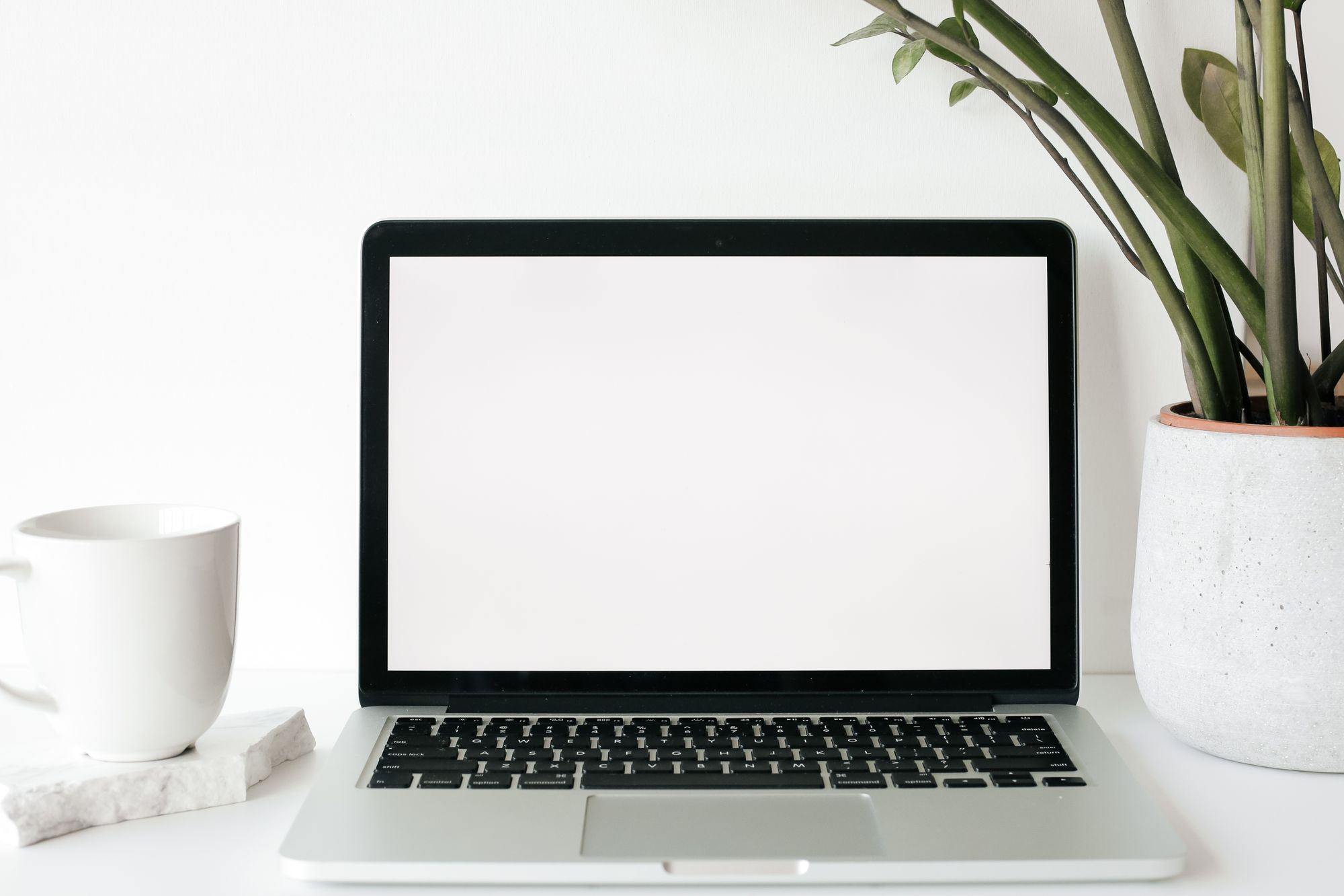 Going Paperless in Your Medical Practice